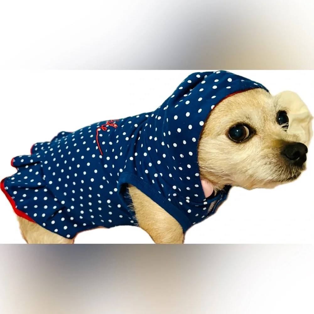 Ellen Degeneres stylish dog